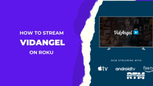 How-to-Stream-and-Add-Vidangel-On-Roku-From-Device/Window
