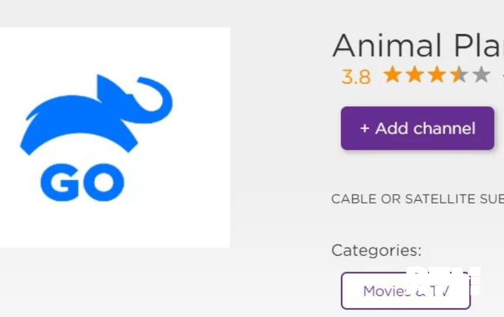 how-to-watch-animal-planet-on-roku
