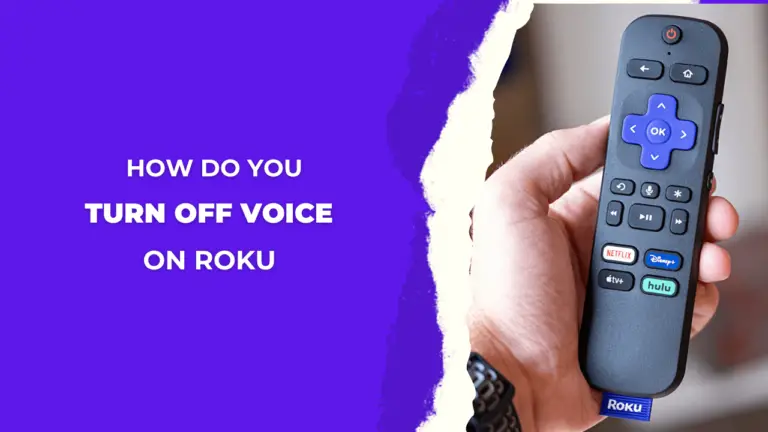 How-Do-you-Turn-Off-Voice-on-Roku-Via-Remote-[4-Easy-Steps]