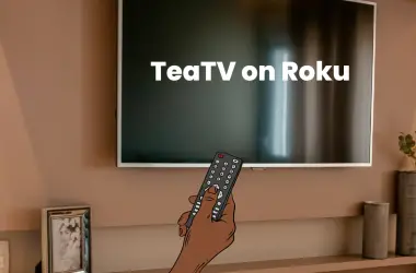 How to Stream TeaTV on Roku 2 Simple Ways