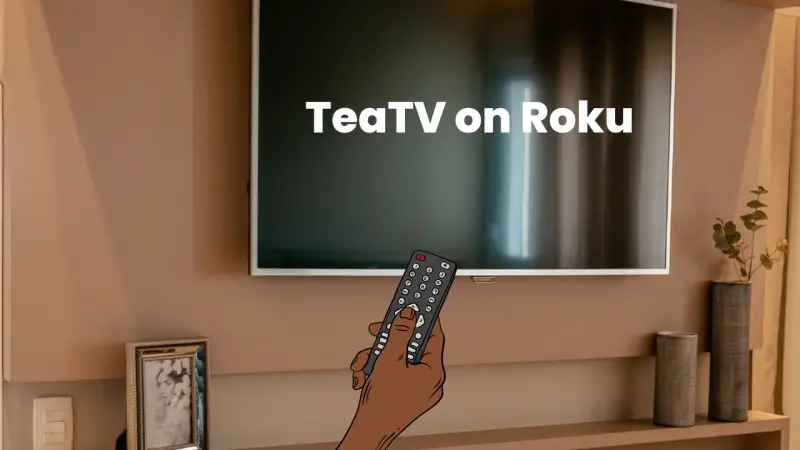 How to Stream TeaTV on Roku 2 Simple Ways