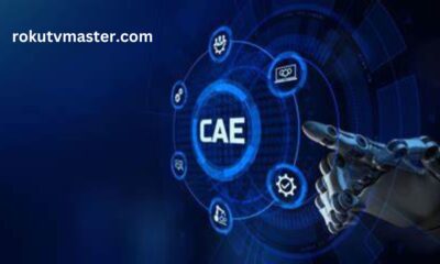 CAE Software Development