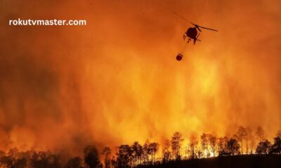 California Fire Victims Trust