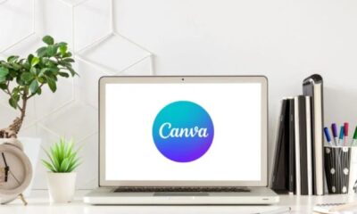 Canva Business Bundle