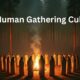 Human Gathering Cult